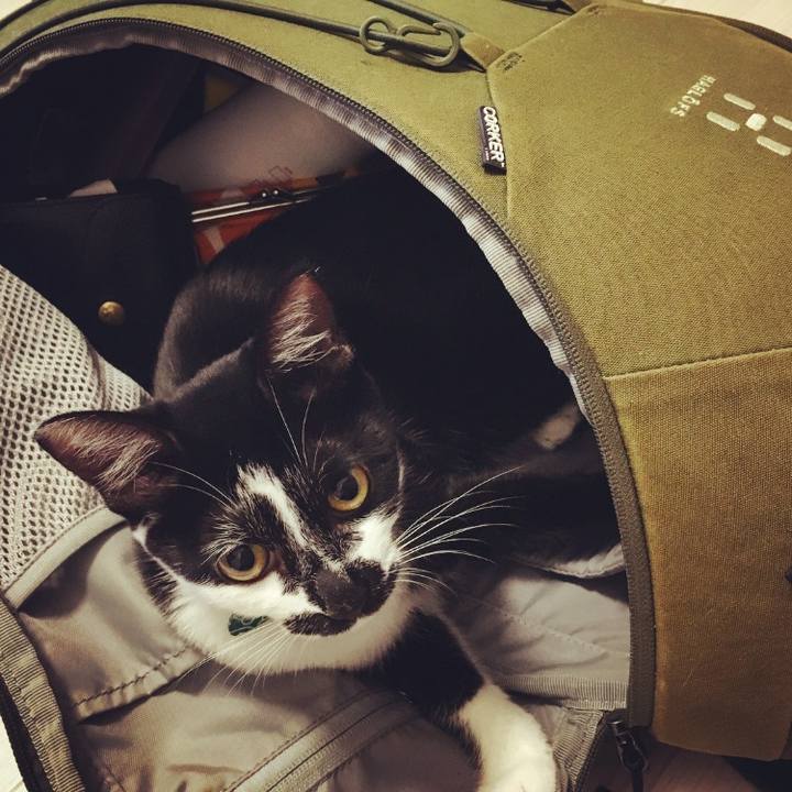 6601847e ed76 4791 bdbe 922e47b6fc8f