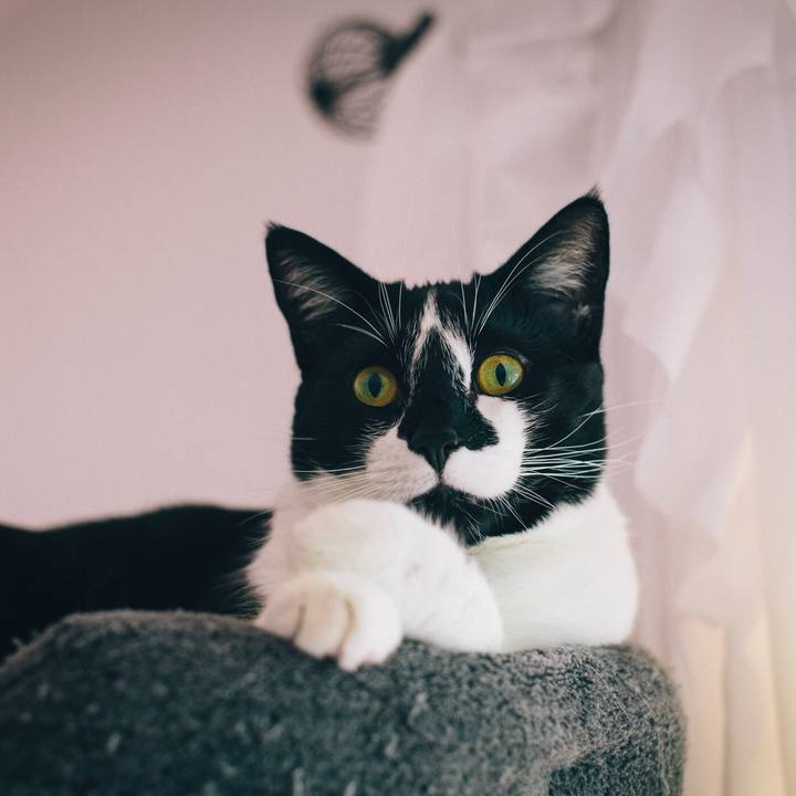 66021512 c804 421b 9450 bd38c8f4949e