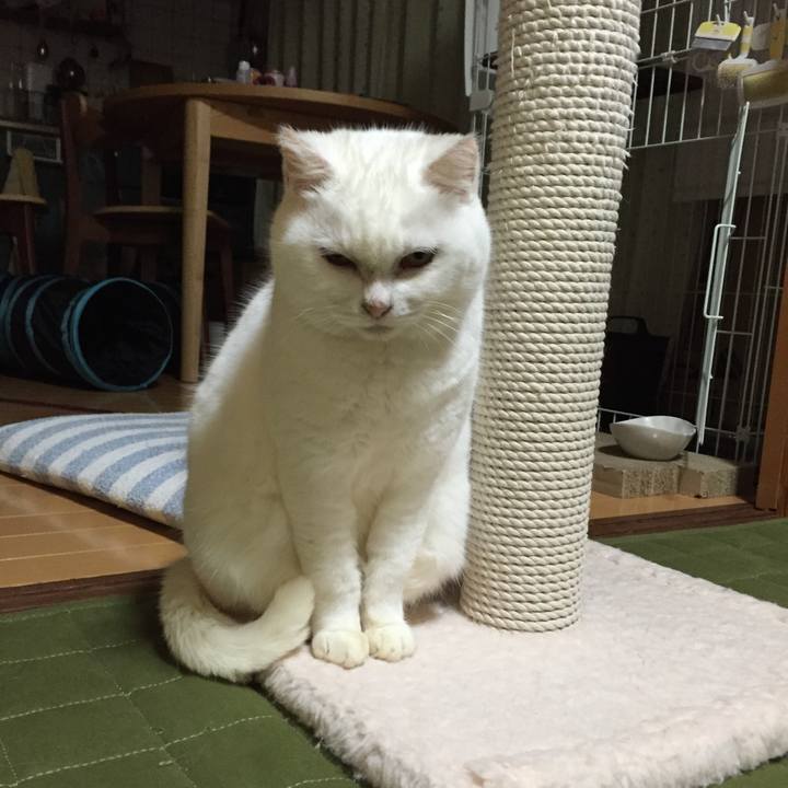 6603612f cfa3 44c5 b12a 7c1450ab39aa