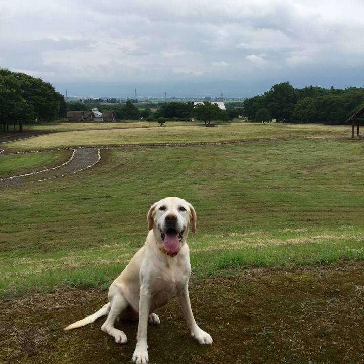 660480a9 3726 42f0 997f 99a4faf34d90