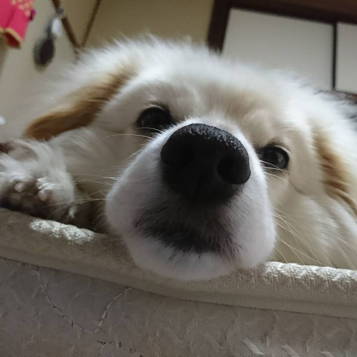 6604eb0d 56a1 4034 bfb2 f5c9ebb9b765