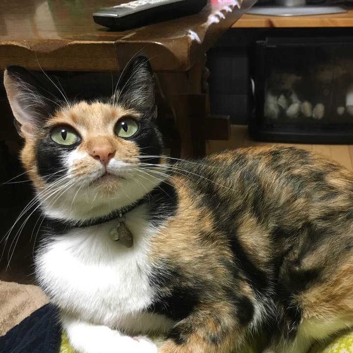 6604ed7c 6e0e 4b67 b01a 6336524b66d9