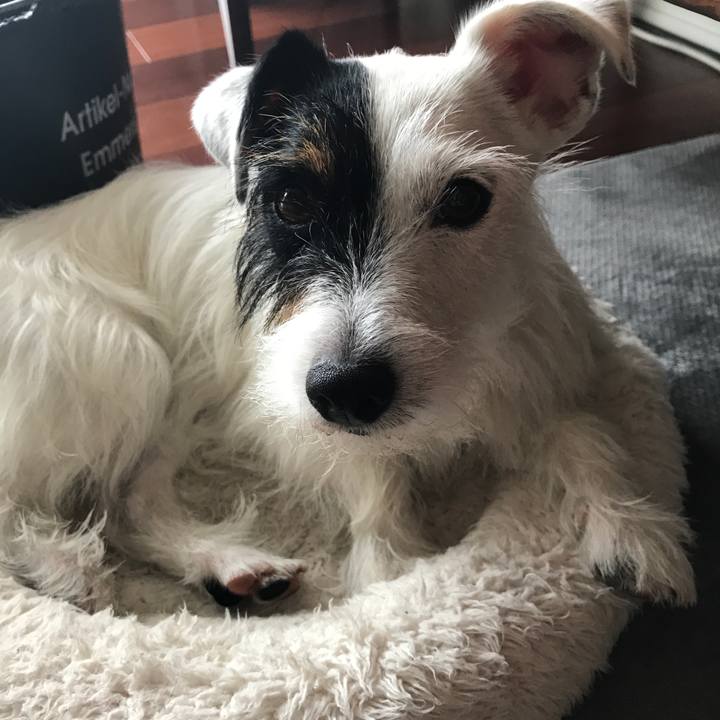 66052771 51eb 4524 a740 60be1dceb6f8