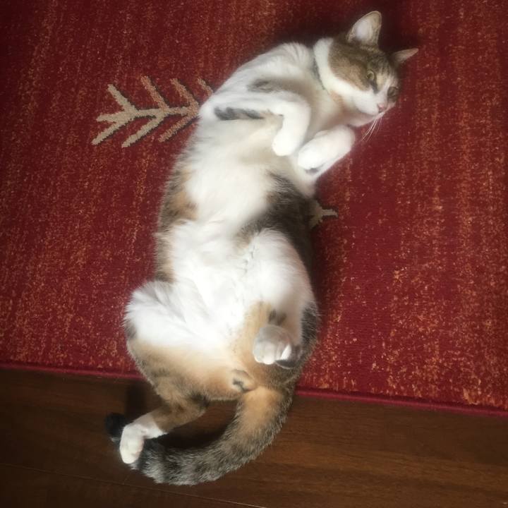 6605bc22 6f7b 42cf 99fe 9a9d0a9ee2d5