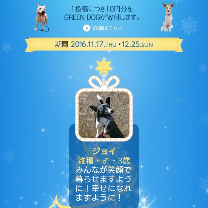 6605bd08 337c 4622 8a6f 6968677f75b7