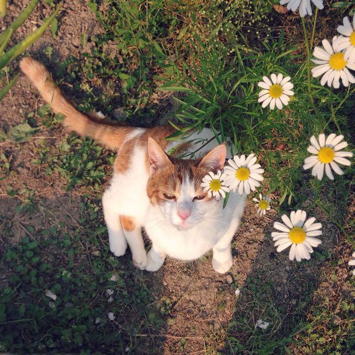 66063e3a 31ee 4982 91c2 0a0b32a0a3ee