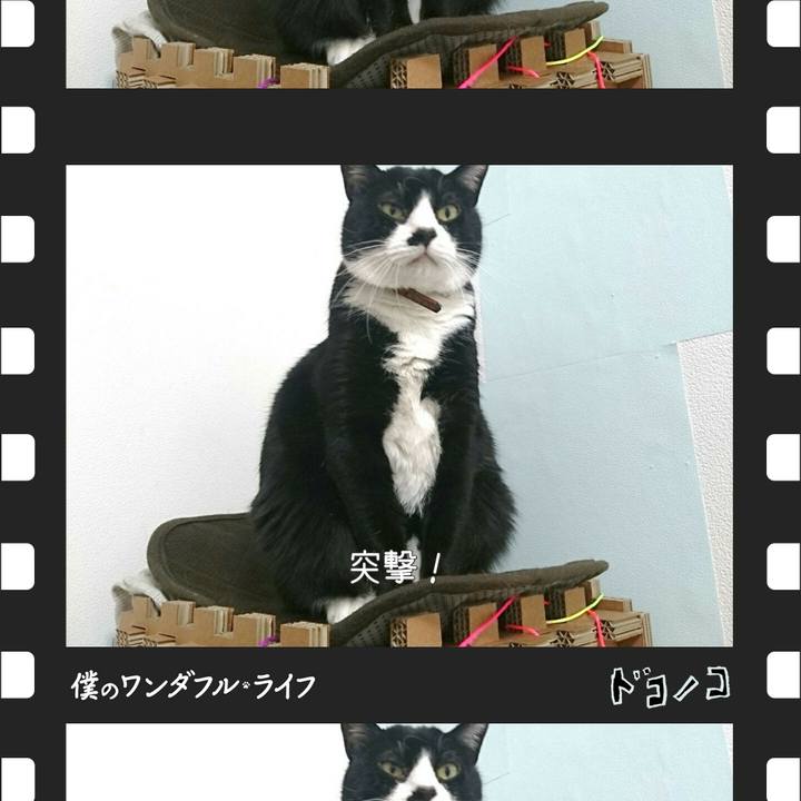 66069aea 828c 4355 a253 f24ab3a07ffb