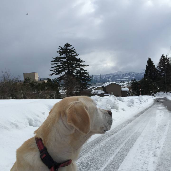 6606bbfe 6e6d 4339 b133 be7cc1d0864b