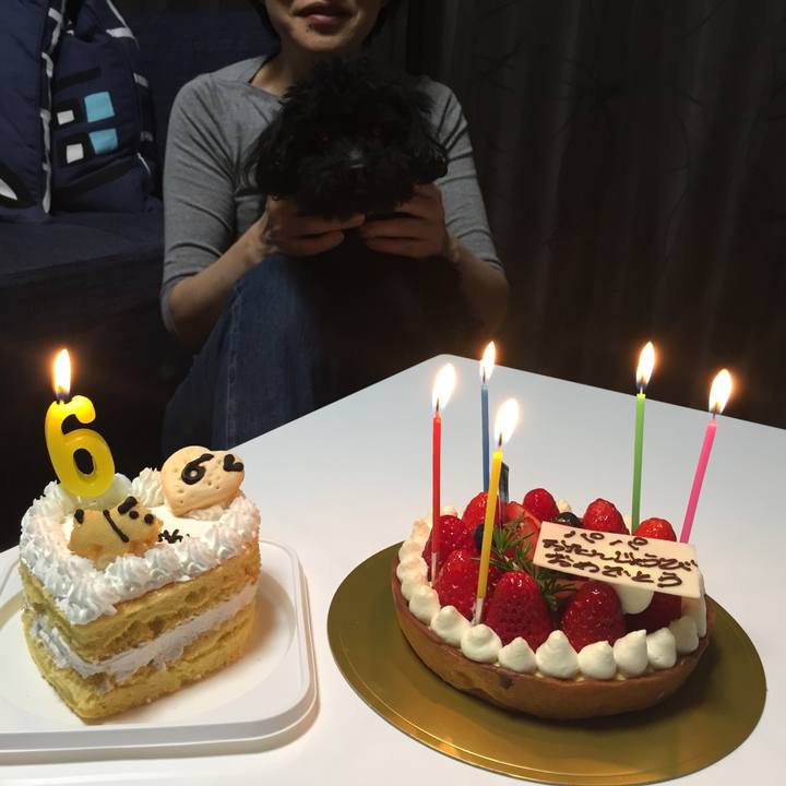 6606e0e6 e115 4948 97af e644be9ff2cd