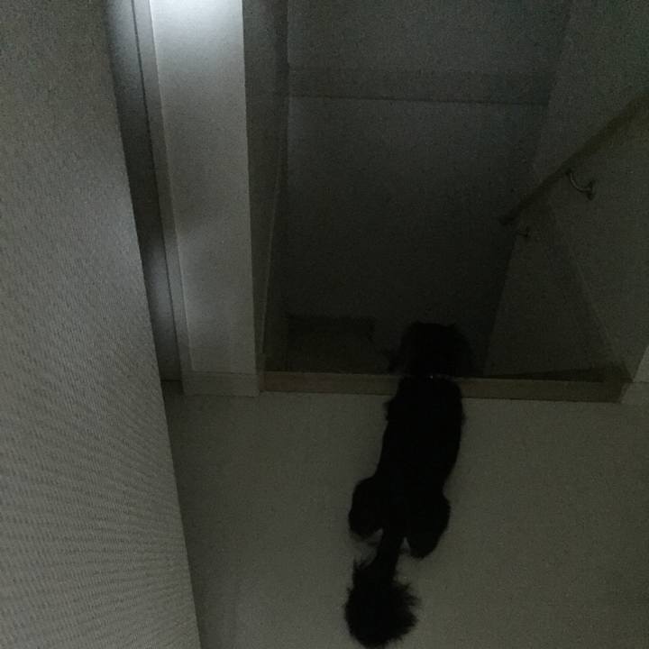 66072e86 02a7 44c5 bc5f f7a92ddd53a1