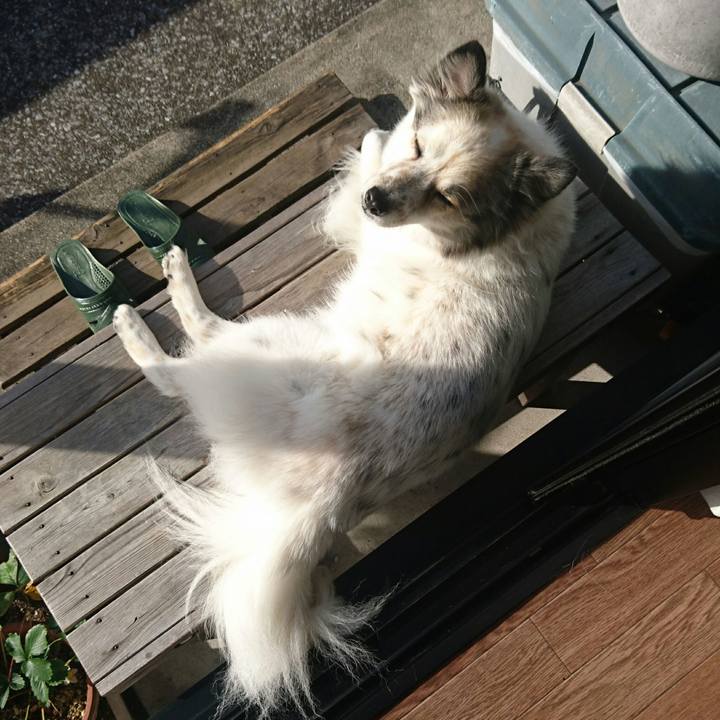 6607635f a53e 46c4 a160 ceb7daf3b12e