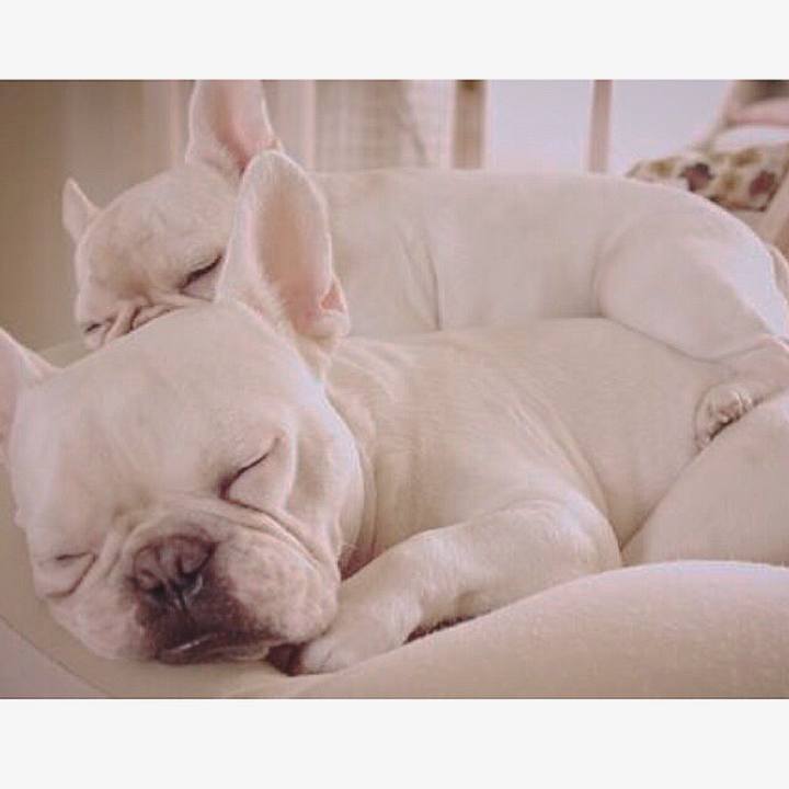 660763b2 b2b8 42d0 8a3a 250303185887