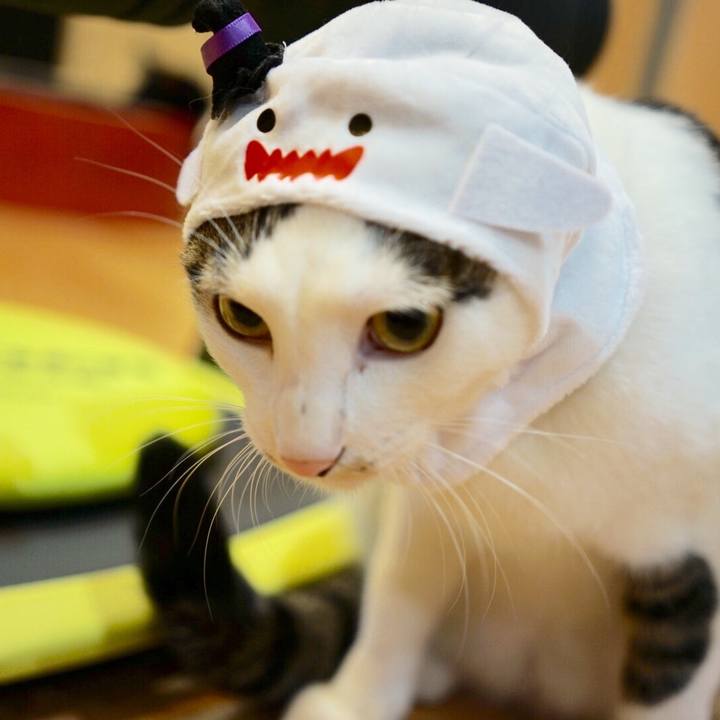 66077f30 1b02 4999 b13a 3e5bd4ab9c4a