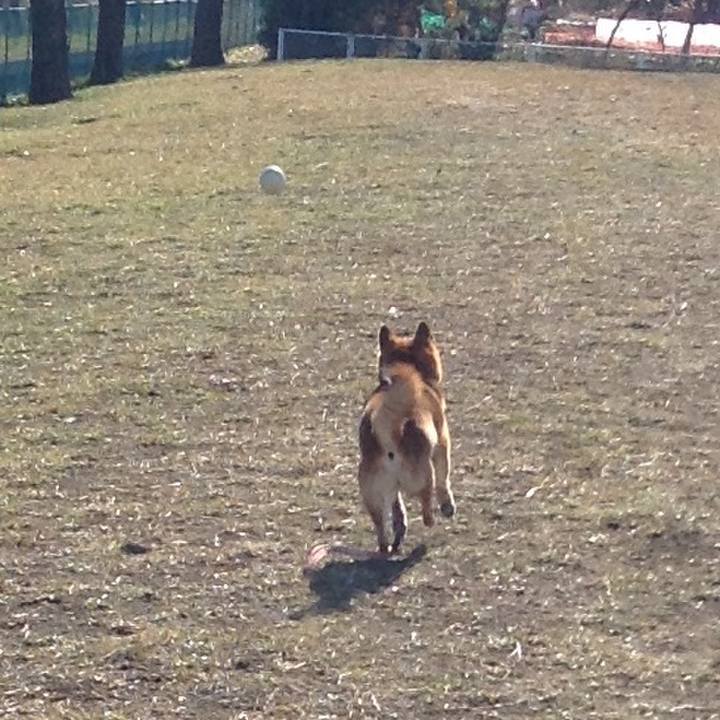 6607a074 2f28 44b3 badf 3fc6ce4eed32