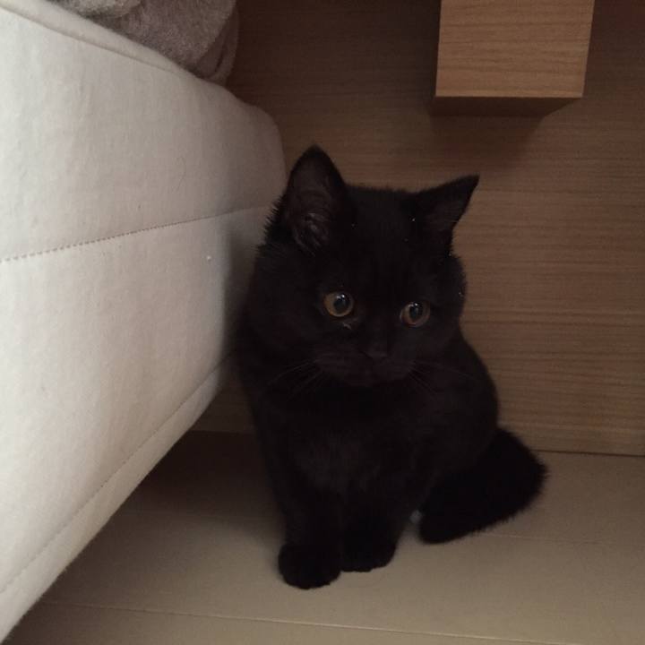 660816ce 0d94 49b0 82fd 6dbb48b0100c