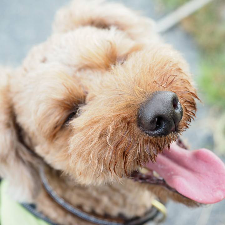 66089376 6e43 494d b659 fbc866b5eba3