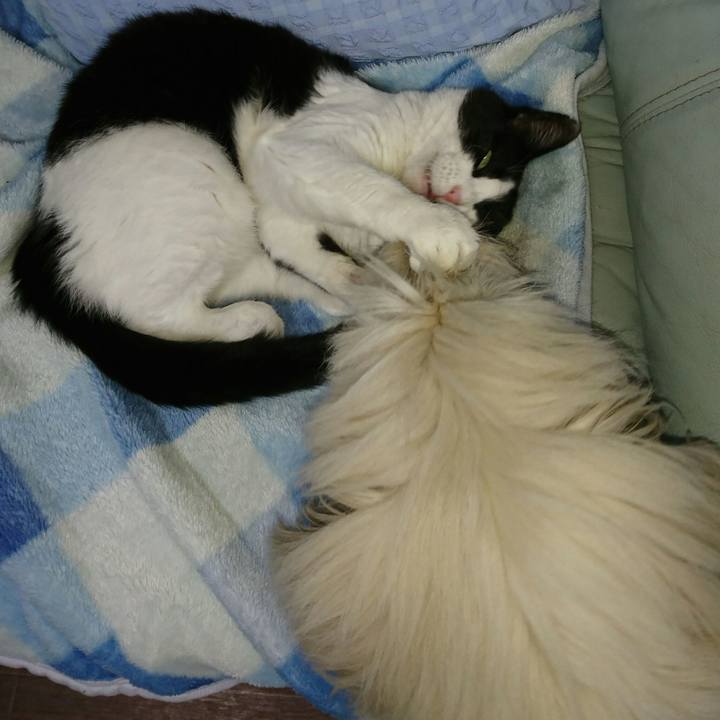 6608bbf9 82cd 49ec 8167 7d728af62e73