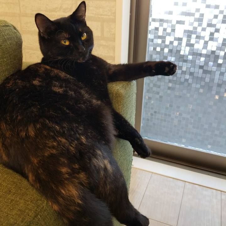 6608fab0 5fbe 4c91 abc1 c6f6a4bbabf2