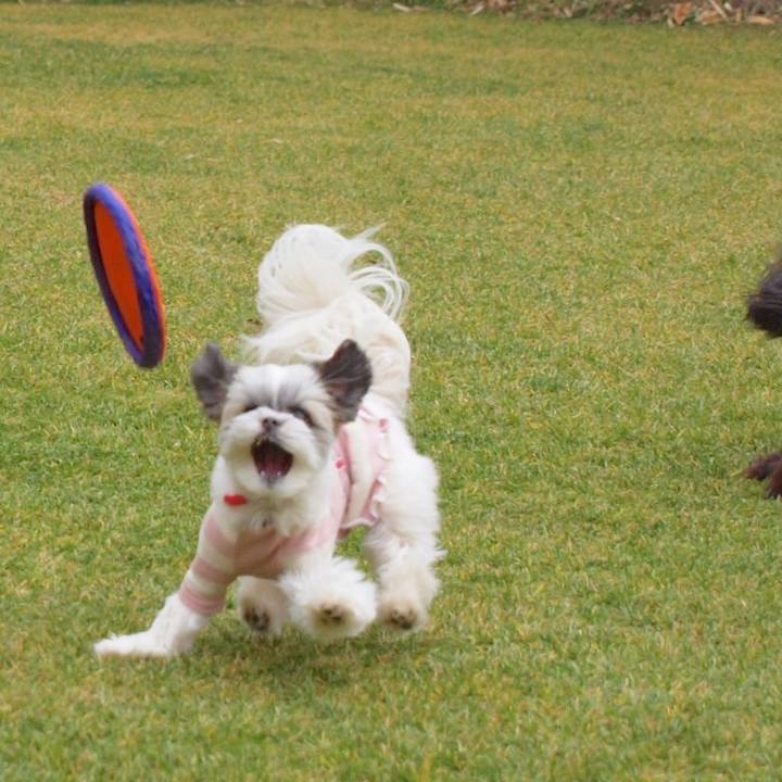 6609ba81 cd2e 4d9e 916b 50ee63704bab