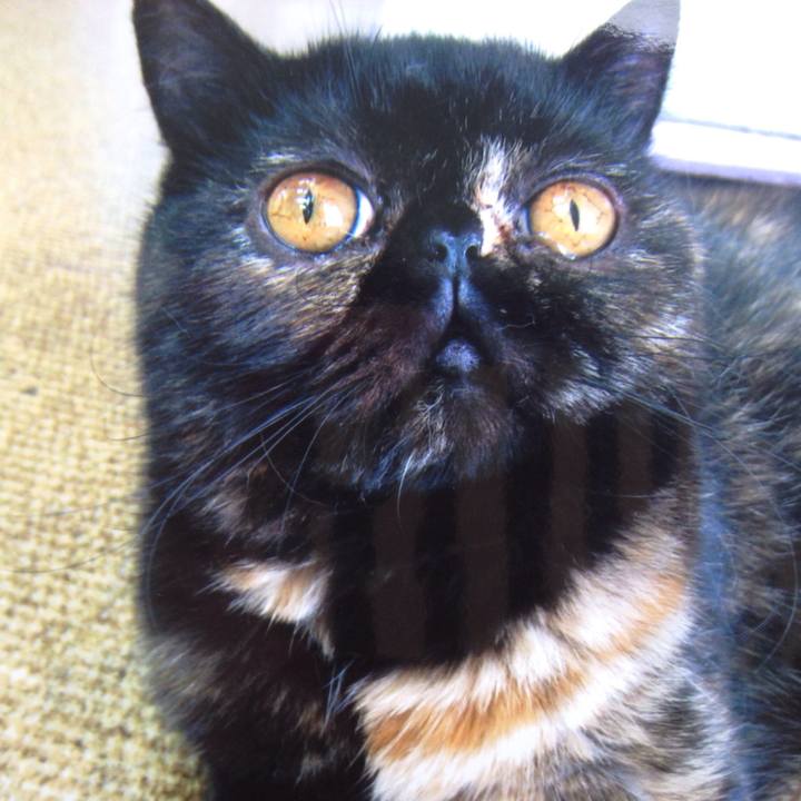 660a2b51 bada 4f59 9f68 54c37da7fda2