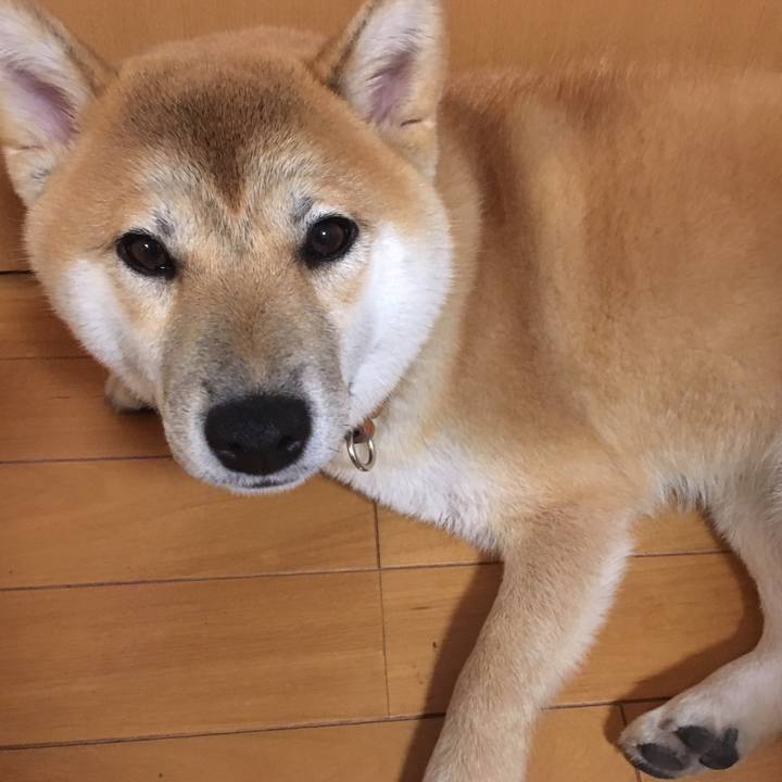 660a4047 bcde 482d 90cb 2e3d190b9251