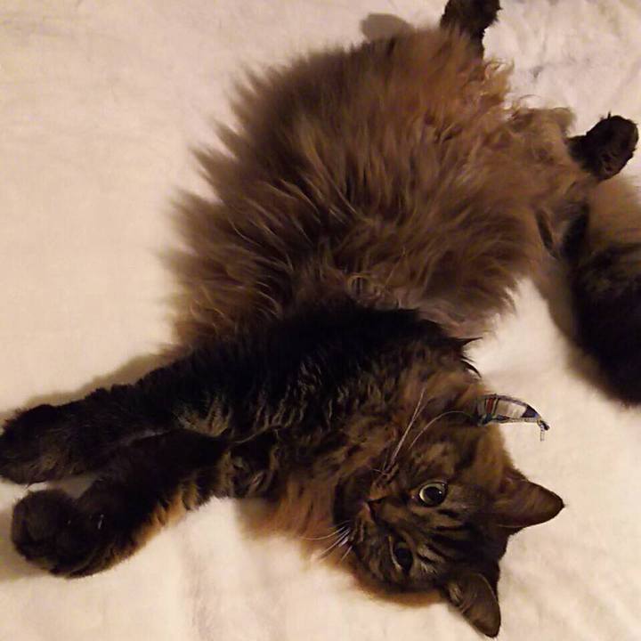 660a4530 31ec 4d17 bb58 8b7375107e7a