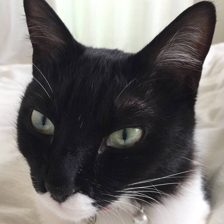 660b086a 48a1 4ff0 8b24 7bbb24291c83