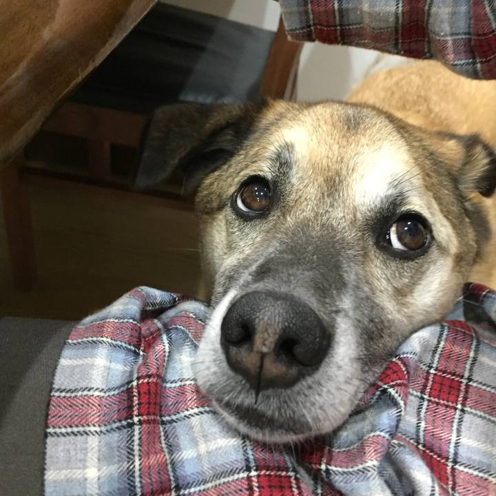 660b34a8 79dc 4deb befc 69fda69de862