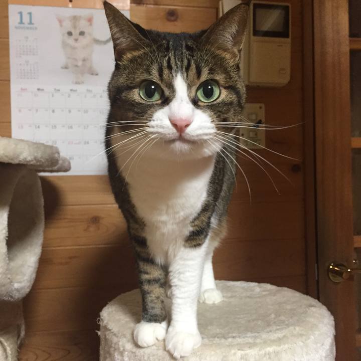 660b5476 0e66 4b50 a73e 04b0e475c02b