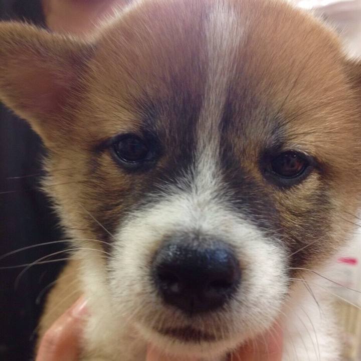 660bc334 463f 46f0 a6ab 7c90574128fa