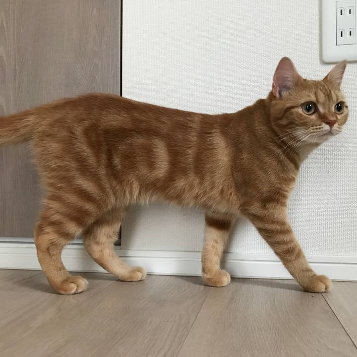 660bdb61 cad3 40be b366 8de8a6a25fdb