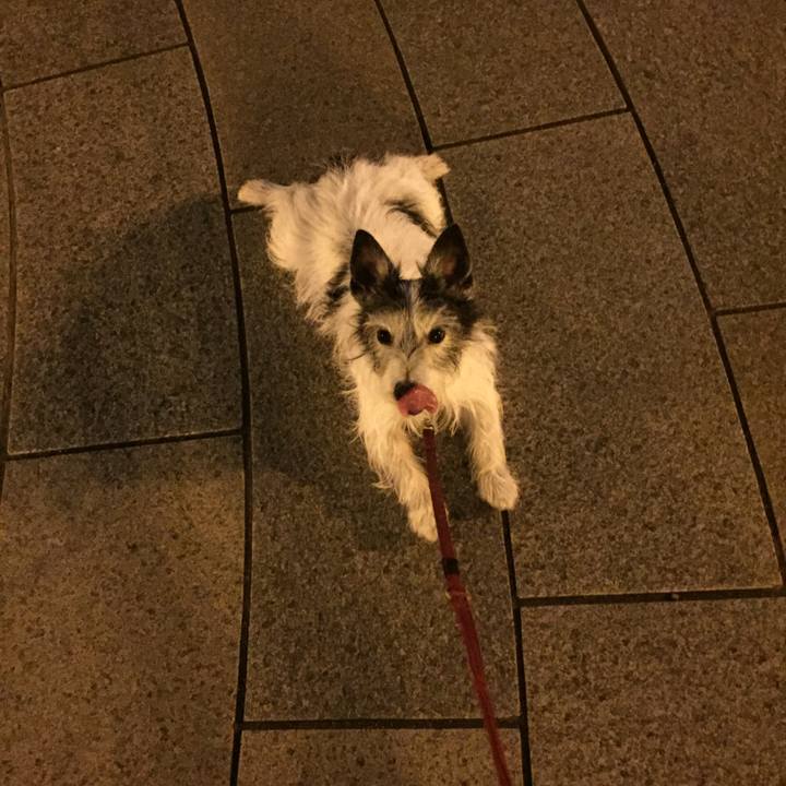 660be66d 7a0d 44fd 9277 d40c5a6a0bc0