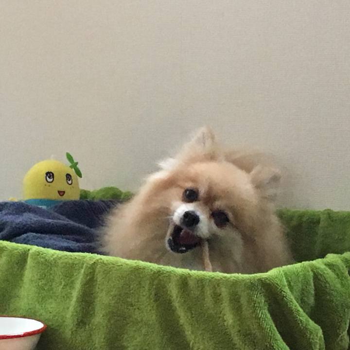 660cbe50 4d06 409d b76d c1bd4971289d