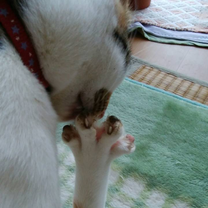 660d1ab0 466a 43a1 a46f 08de447288af