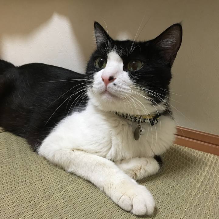 660d1bbb af9f 43e6 9267 1ab24c37cf26