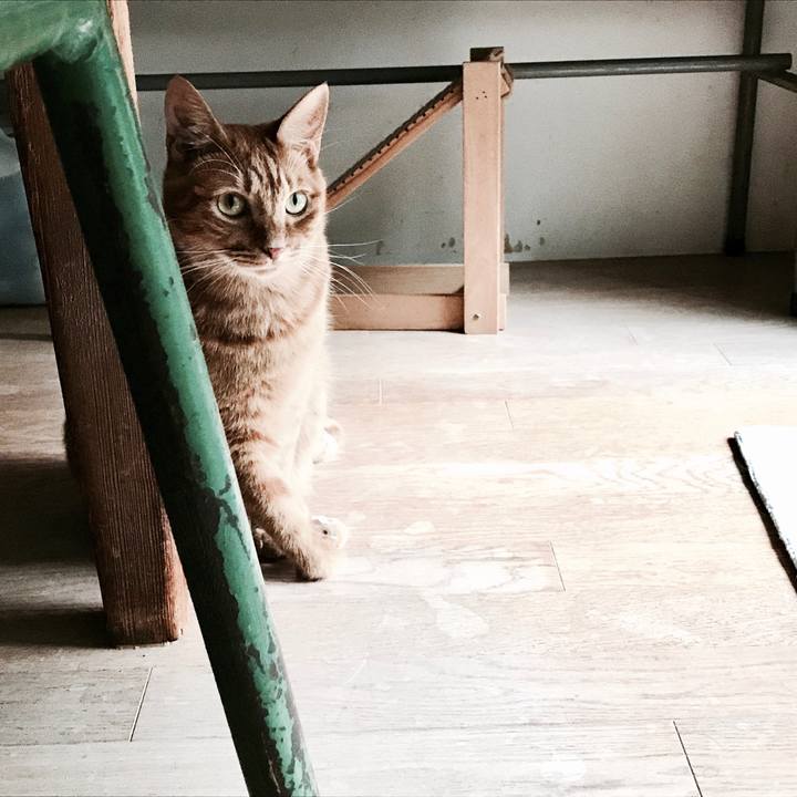 660d315f 8295 4764 90ac 17ca569f9e1d