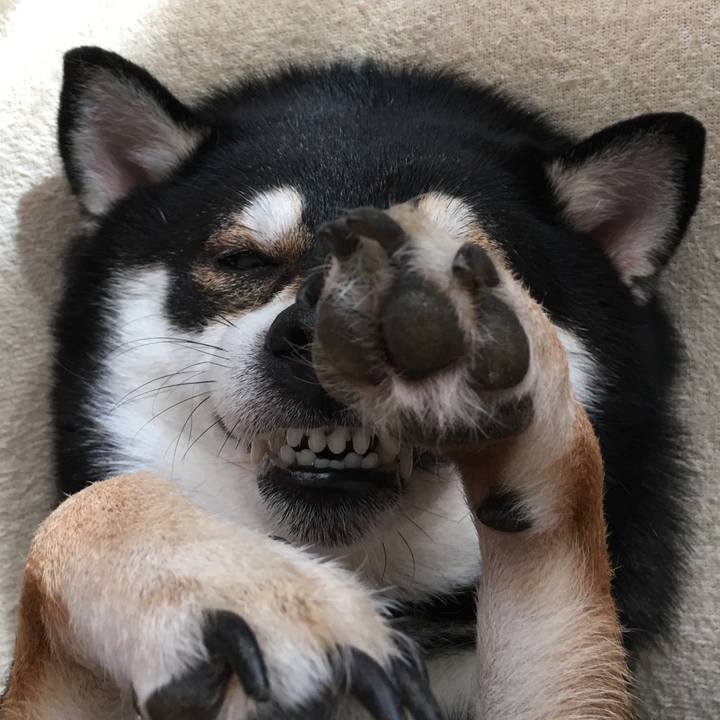 660d5468 15e4 4390 ba9b 4af007ffa2eb