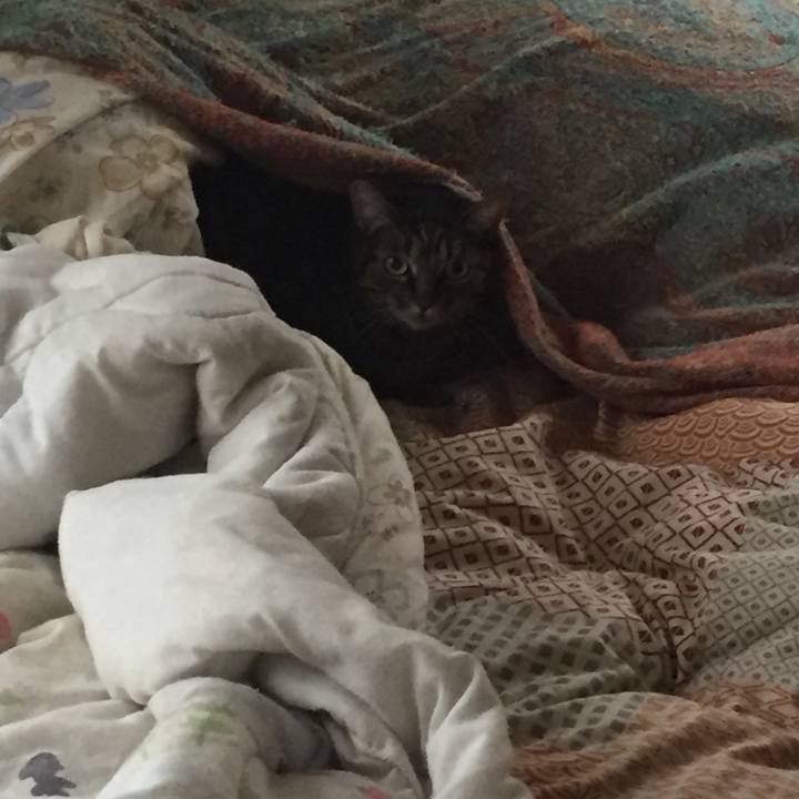 660e044c 3946 4c3f b7fa dc520b800e2b