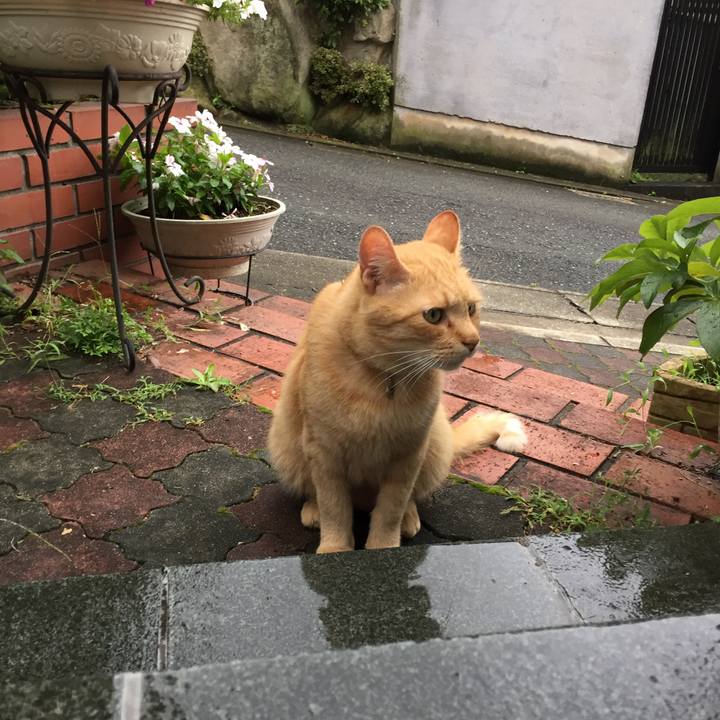 660ee480 771f 45bc 9c65 348232760e9e