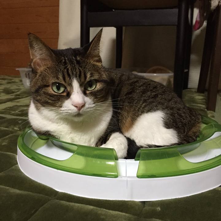 660ef2ad 3fbb 44f5 b8f9 45444185a23f