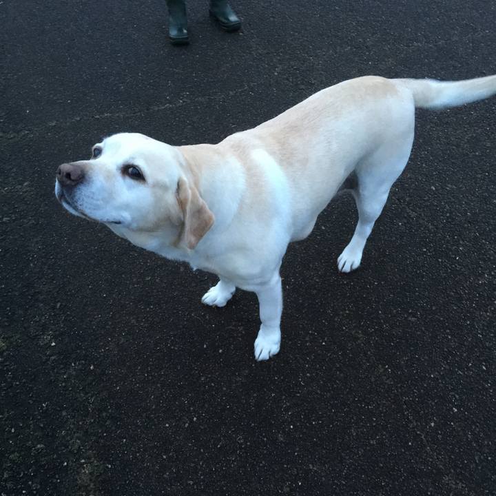 660f5528 c04f 42c9 81e1 6e2022b15958