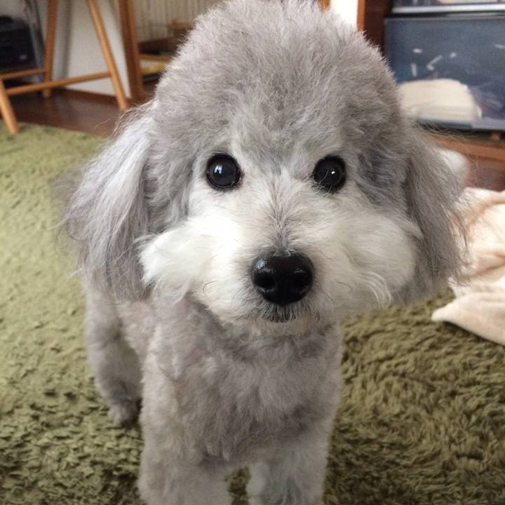 660fb8b3 b832 4305 a23c a74550cc02cd