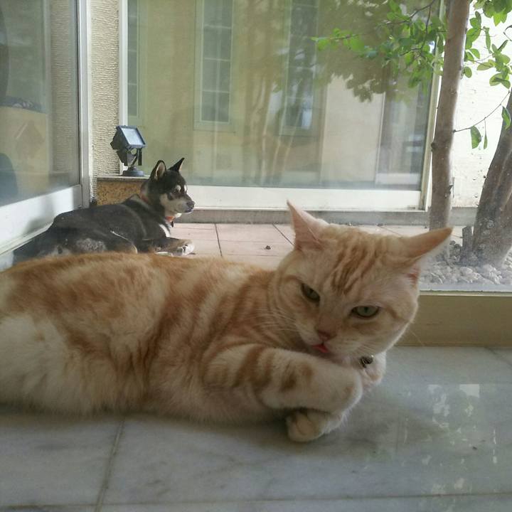 6610112e 9720 47a7 9d68 22587f418345