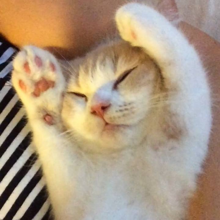 66102fd4 edda 4788 b006 1974efd79f83