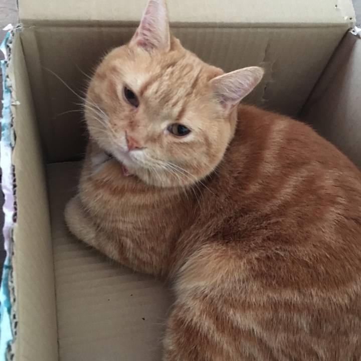 66104c14 01a7 4c0b a535 a0b31b25f135