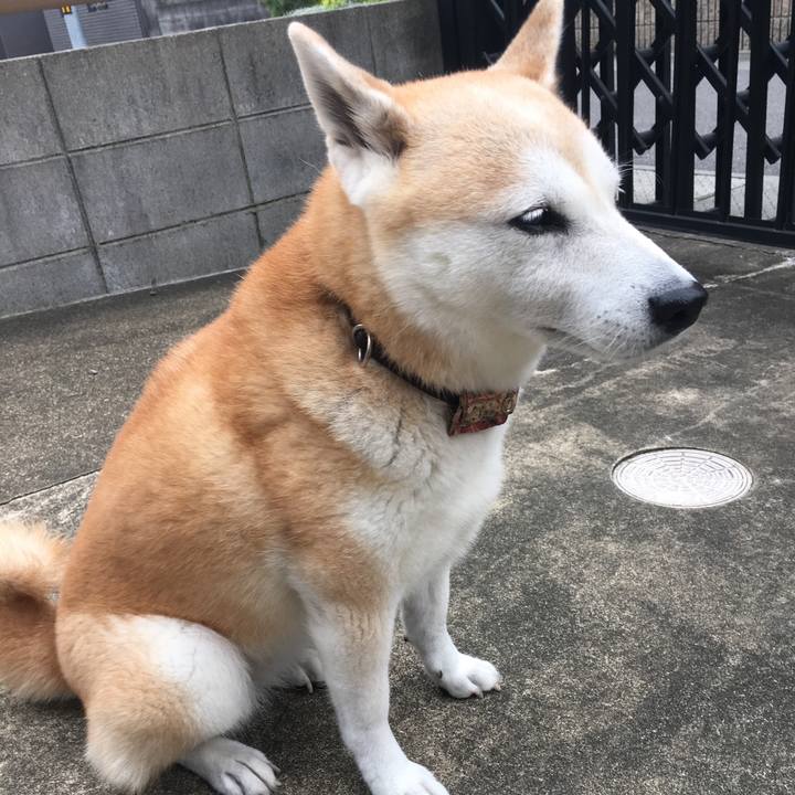 6611cf36 959f 484d ab12 c0525bd24f7d