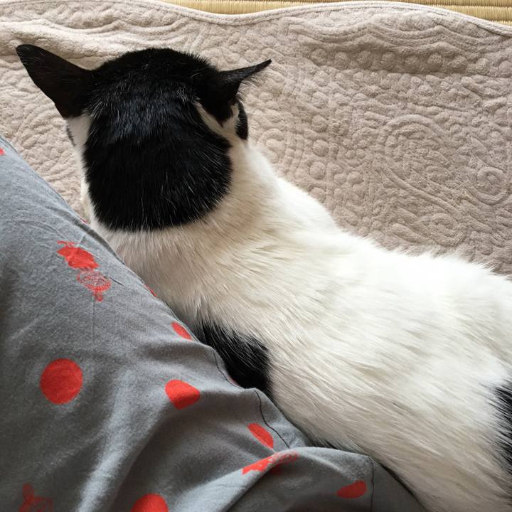 6611f562 d9ae 4a3f a1e4 6f4912dd4f6e