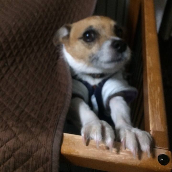 66120aaa 64bf 4e8b bb37 190dbca461d1