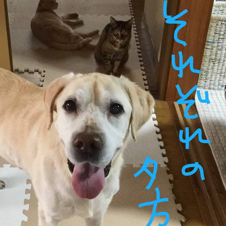 661219d3 ab94 4788 965f 356159aa9d45