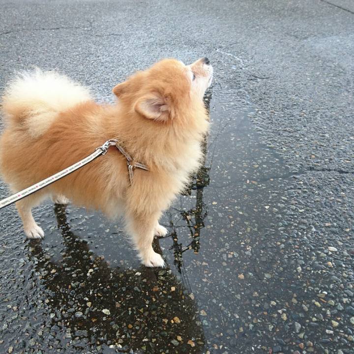 66122172 720b 4b10 ac6b 76db9ce842d1